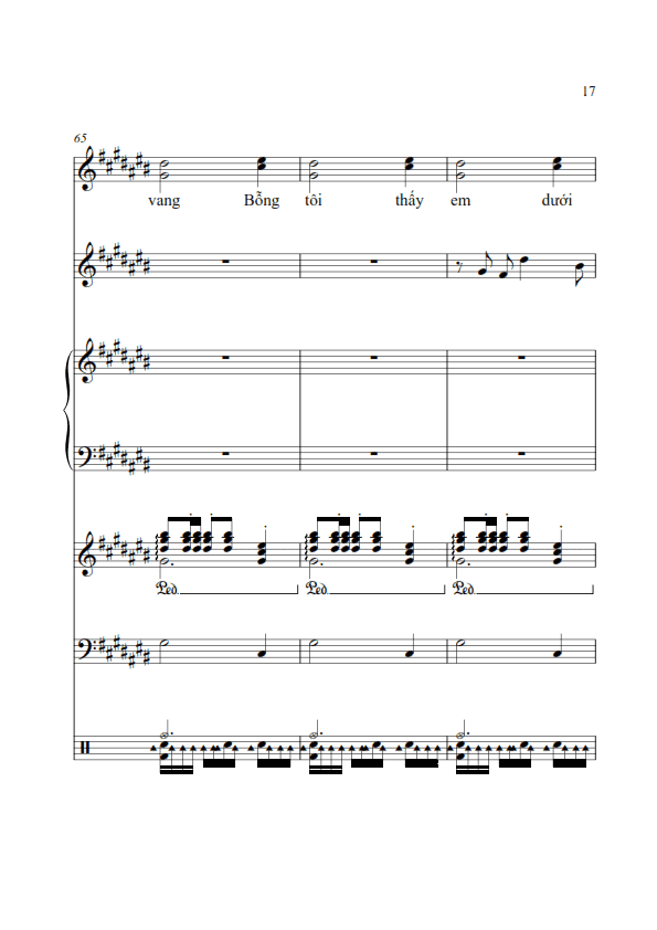 doa-hoa-vo-thuong-trinh-cong-son-hoa-am-1_017