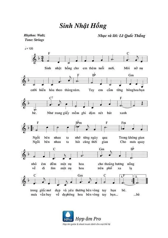 SINH NHAT HONG - sheet