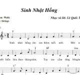 SINH NHẬT HỒNG