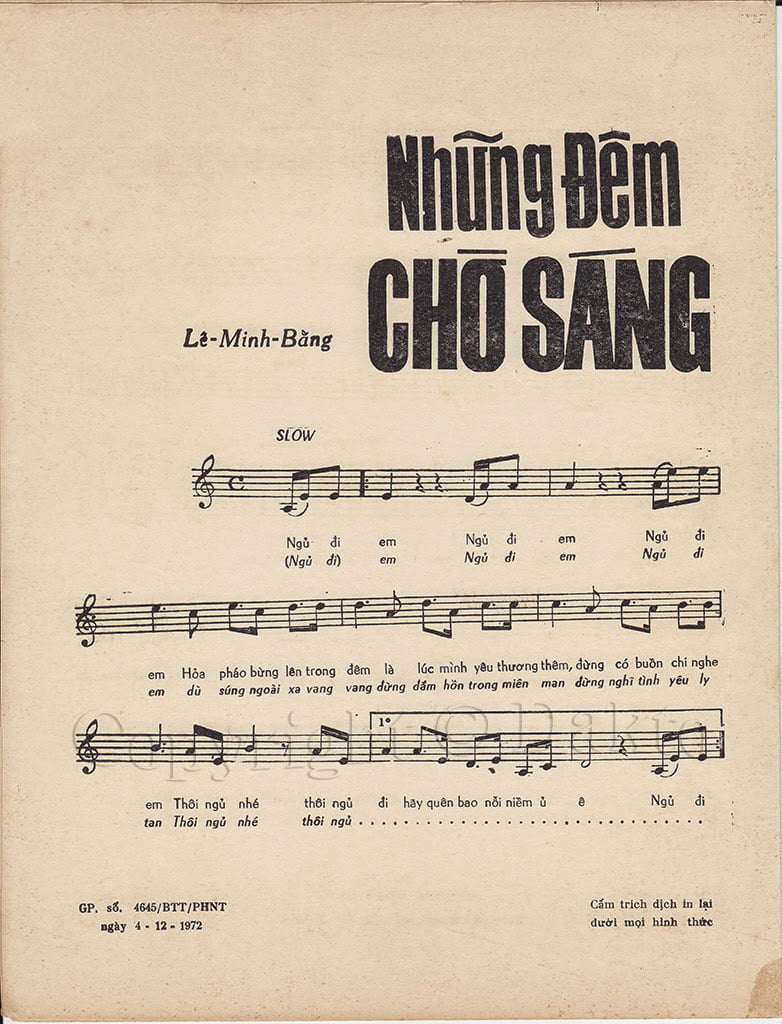 Nhung-dem-cho-sang-2