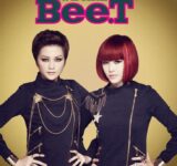 Bee T