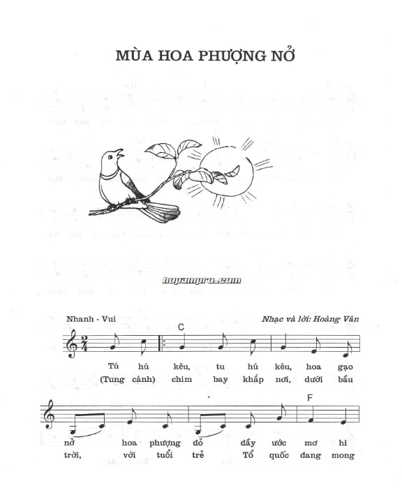 MÙA HOA PHƯỢNG NỞ