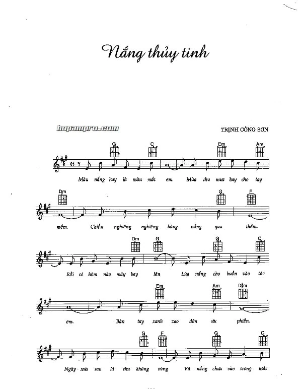 Sheet Nắng thủy tinh Nắng thủy tinh