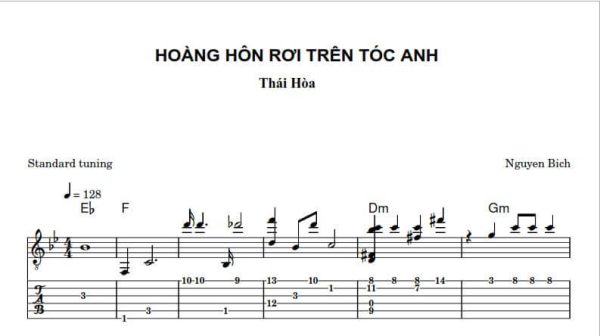 Hoàng hôn rơi trên tóc anh
